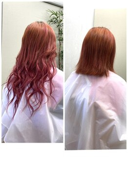 ジェイパラダイス(J-Paradise)/シールエクステ