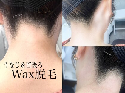 アイビーアイラッシュ(IVY EYELASH)の写真