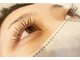 アンティス(ANTIS)の写真