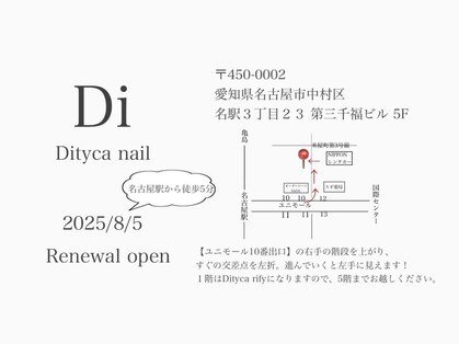 ディティカ ティア(Dityca tia)の写真