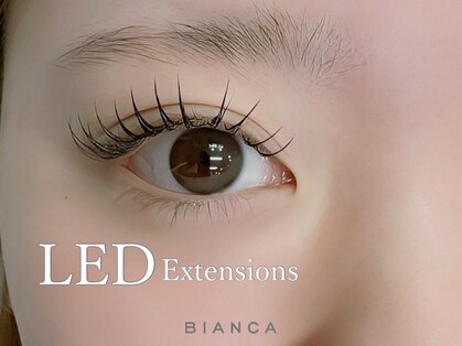 ビアンカ アイラッシュサロン 大宮店(Bianca)の写真