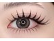 シュエット(Chouette)の写真