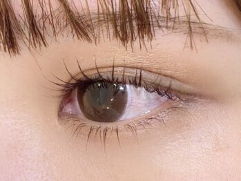 ティグル 光の森店(Tigre)/上下まつげカール