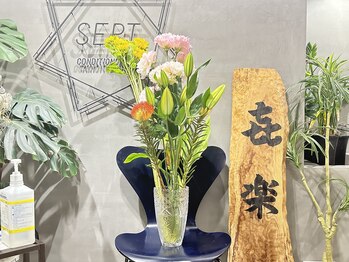 セプトきらく鍼灸整体院(Sept.)/今週のお花☆