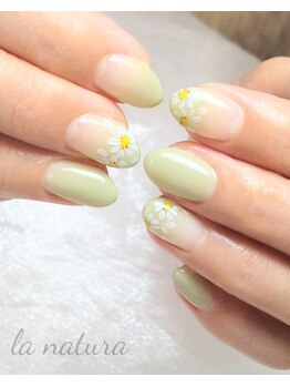 シンプルコース