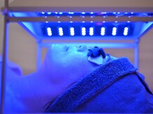 アルティメイト(Ultimate)/