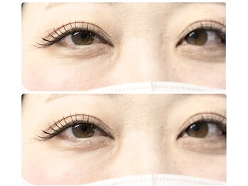 ティピ(tipi)/LEDベールラッシュ120束