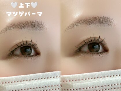 ベル(Bel)の写真