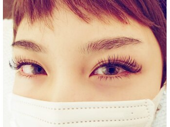 ルピナス(Lupinus)/ボリュームラッシュ400本!