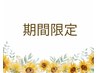 【8月末までご来店の方】フラットセーブル140本までアイシャンプー付/¥4000