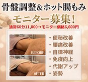 ヒールパーム(Heal Palm)