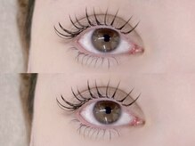 ミニュイ(Minuit)/パリジェンヌ×Wフラット80束