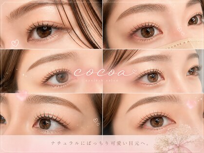 ココア(cocoa)の写真