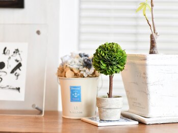 からだのみかた整体院/観葉植物でお出迎え