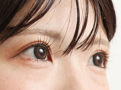 マーム(ma'am)の写真