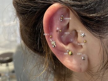 アイバー ウィズ ガーデンムサシコスギ(EYEBAR with GARDEN MUSASHIKOSUGI)/耳ツボジュエリー