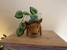 プルケルスパ(PULCHER SPA)/看板イノシシがお出迎え