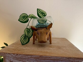 プルケルスパ(PULCHER SPA)/看板イノシシがお出迎え