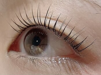 カラン 焼津店(CALIN)/ラスティングカール