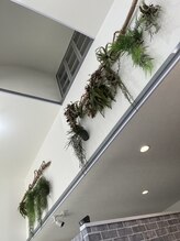 サロン ド メイド 鴨宮店(Salon de MADE)/店内写真