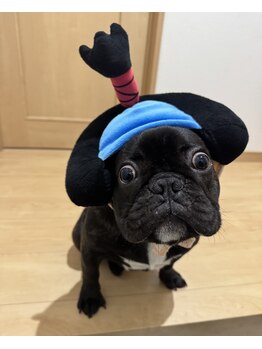 リエー(Relier.)/看板犬