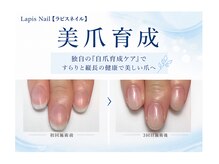 ラピスネイル(Lapis Nail)