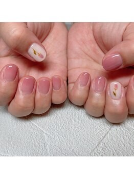 ラナンキュラス(Ranunculus)/一輪の　お花