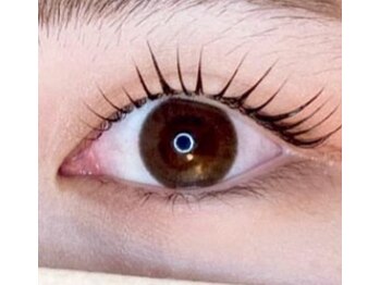 アイラッシュプラン メル 高槻JR駅前店(eyelash plan Mel)/韓国風まつ毛パーマ