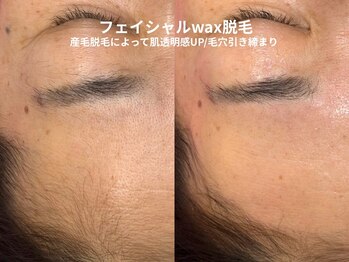 ピブ(pib.)/短い毛もしっかりキャッチする