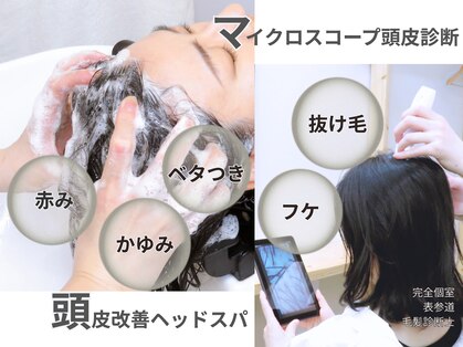 アッカ(AKKA.)の写真