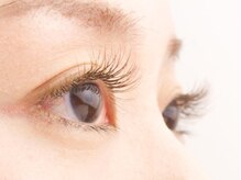 タネモト(Tanemoto)/フラットラッシュ