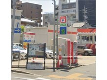 ベイビーズブレス(Baby's Breath)/コインパーキンが複数あります！