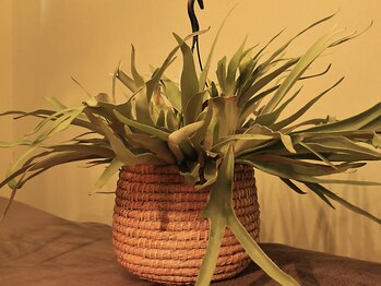 Relaxation Salon Lani【アロマ/リンパ/オイルマッサージ/ロミロミ/もみほぐし】/