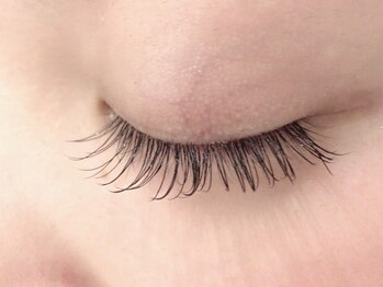 カラン 焼津店(CALIN)/フラットラッシュ120本