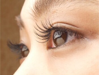 タネモト(Tanemoto)/最高級プレミアムセーブル