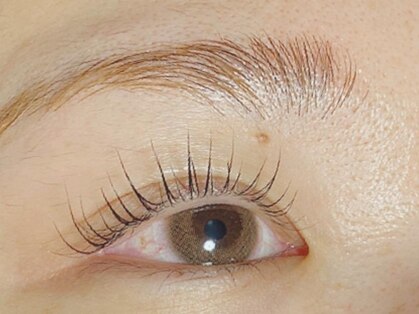 グランツ アイラッシュ 中央林間(Glanz eyelash)の写真