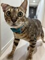 ストレッチ リヴェラ 北千住(STRETCH LIVERA) 犬も好きですが、猫派です!