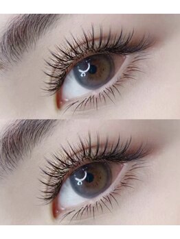 パンダアイラッシュ 上野(panda eyelash)/フラットラッシュ/ワンホン