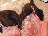 【無料カウンセリング】美姿勢&美体型ボディメイクインナー◆ボディ採寸+試着