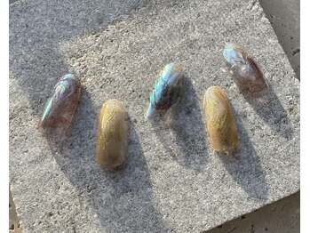 ツリーハウスネイル(tree house nail)/ハンド定額¥5900