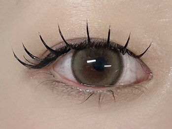 ローラン(LORAN)/フラットラッシュ160本