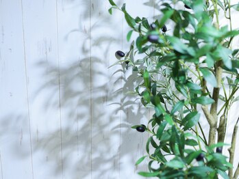 エヌ(N)/オリーブの木