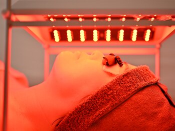 アルティメイト(Ultimate)/