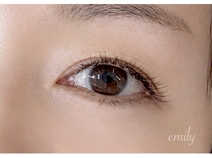 エミリー(emily)の写真