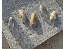 ツリーハウスネイル(tree house nail)/ハンド定額¥5900