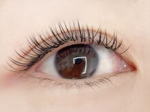 シュアショット(SURE SHOT)/フラットラッシュ付け放題