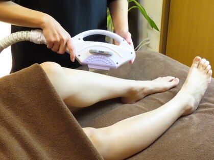 ビビ(ViVi)の写真