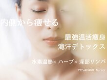 ヨサパーク ミラー(YOSAPARK Mirror)