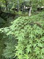 ボディライフバランス 京都御所(Body Life Balance) 京都の三千院は大好きな場所の一つ♪