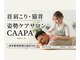 チャーパ(CAAPA)の写真